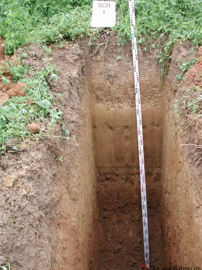 Exploratory Test Pits for Subsurface Investigation in Oklahoma City